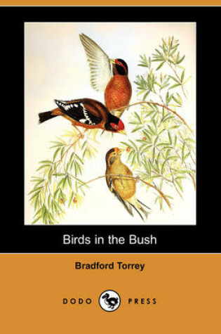 Cover of Birds in the Bush (Dodo Press)