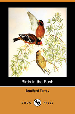 Book cover for Birds in the Bush (Dodo Press)