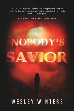 Cover of Nobody's Savior