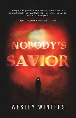 Book cover for Nobody's Savior