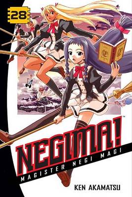 Book cover for Negima! 28