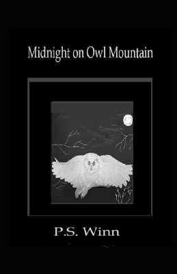 Book cover for Midnight On Owl Mountain