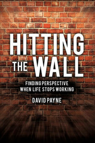 Cover of Hitting the Wall