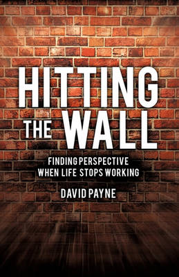 Book cover for Hitting the Wall