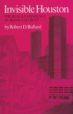 Book cover for Invisible Houston