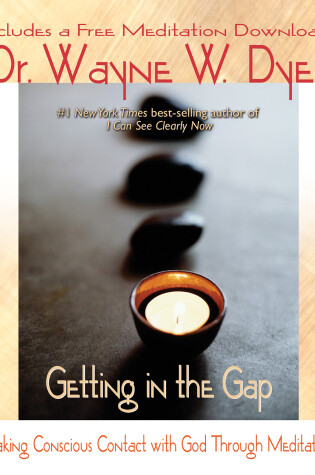 Cover of Getting in the Gap