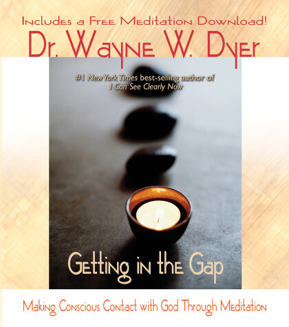 Book cover for Getting in the Gap