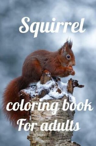 Cover of Squirrel coloring book for adults