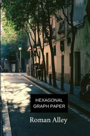 Cover of hexagonal graph paper roman alley