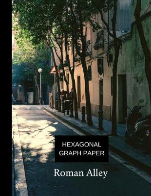 Book cover for hexagonal graph paper roman alley