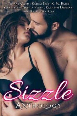 Cover of Sizzle Anthology