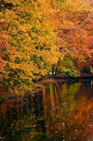 Cover of Trees with Red, Orange, Yellow, and Green Leaves Exploding in Autumn Color