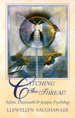 Book cover for Catching the Thread