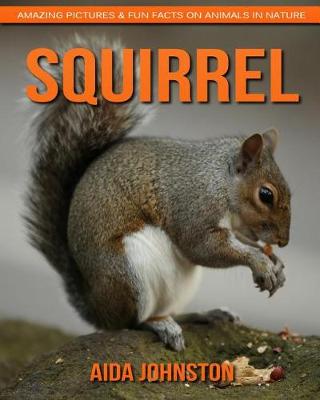 Book cover for Squirrel