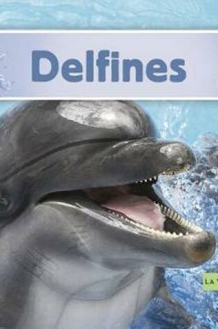 Cover of Delfines