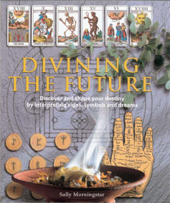 Book cover for Divining the Future