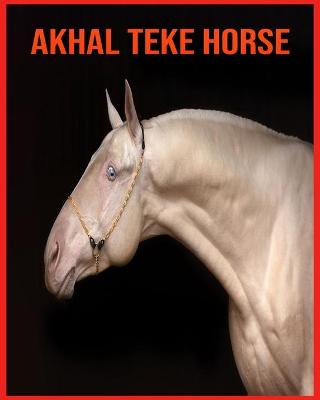 Book cover for Akhal Teke Horse