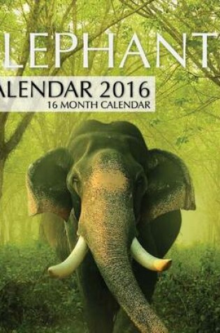 Cover of Elephants Calendar 2016
