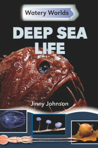 Cover of Deep Sea Life