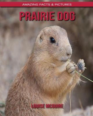 Book cover for Prairie Dog