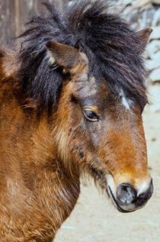 Cover of The Shetland Pony Portrait Journal