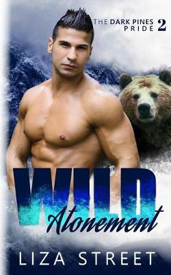 Book cover for Wild Atonement