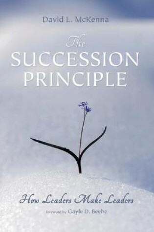 Cover of The Succession Principle