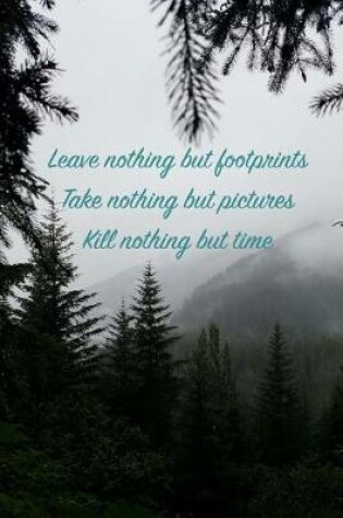 Cover of Leave Nothing but Footprints