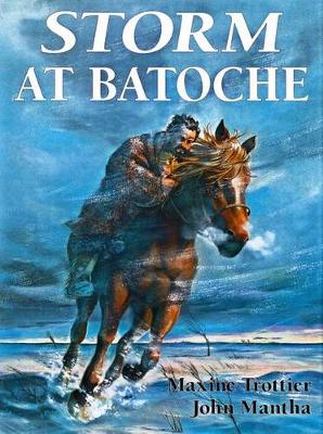 Book cover for Storm at Batoche