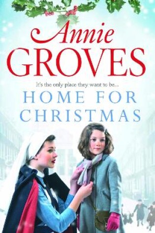 Cover of Home for Christmas