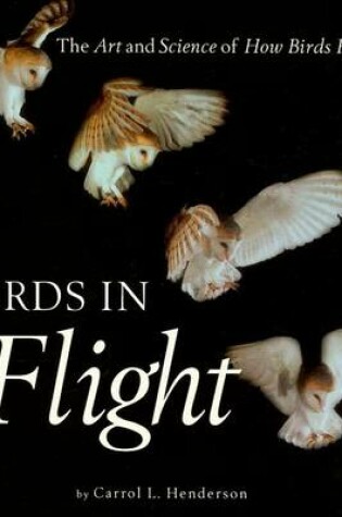 Cover of Birds in Flight: The Art and Science of How Birds Fly