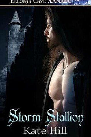 Cover of Storm Stallion