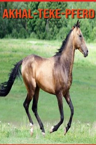 Cover of Akhal-Teke-Pferd