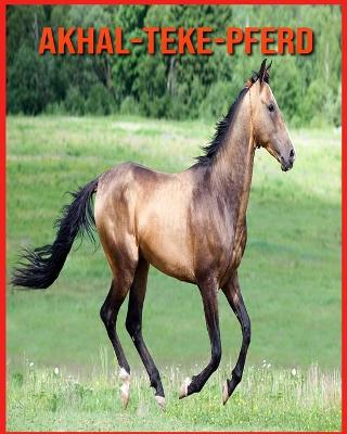 Book cover for Akhal-Teke-Pferd