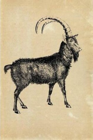 Cover of Alpine Ibex (Capra ibex)