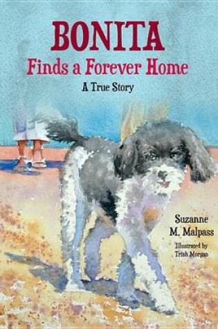 Cover of Bonita Finds a Forever Home