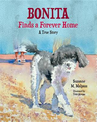 Book cover for Bonita Finds a Forever Home