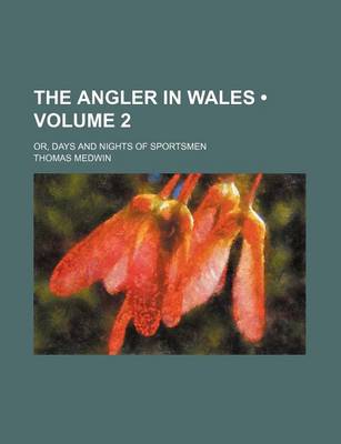 Book cover for The Angler in Wales (Volume 2); Or, Days and Nights of Sportsmen