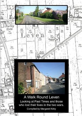 Book cover for A Walk Round Leven