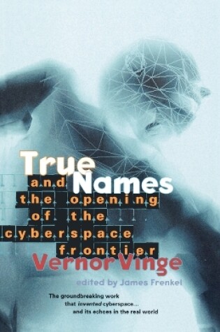 Cover of True Names: and the Opening of the Cyberspace Frontier