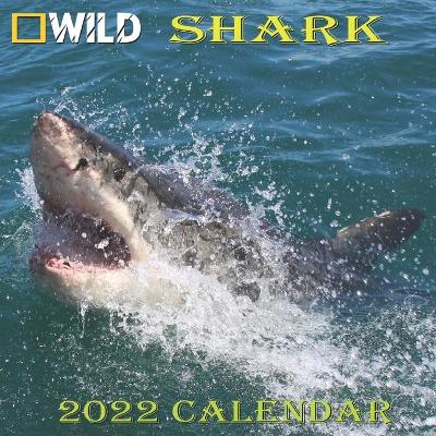 Book cover for Shark Calendar 2022