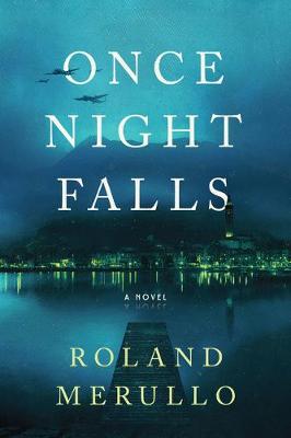 Book cover for Once Night Falls
