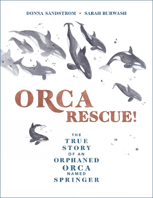 Cover of Orca Rescue!