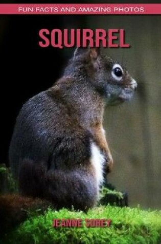 Cover of Squirrel