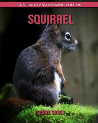 Book cover for Squirrel