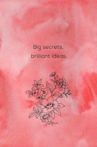 Cover of Big Secrets, Brilliant Ideas