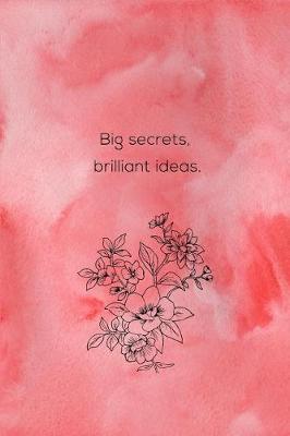 Book cover for Big Secrets, Brilliant Ideas