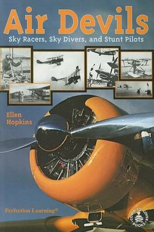 Cover of Air Devils