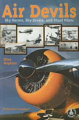 Book cover for Air Devils
