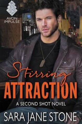 Cover of Stirring Attraction